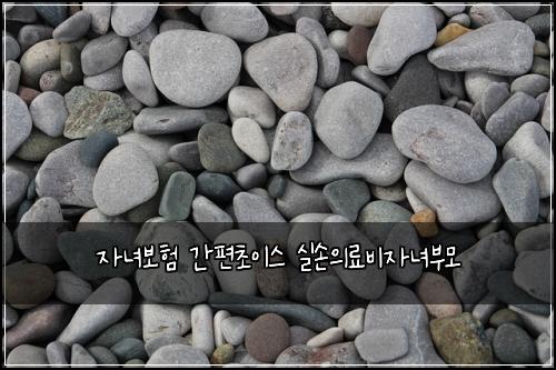 ์๋
๋ณดํ ๊ฐํธ์ด์ด์ค ์ค์์๋ฃ๋น์๋
๋ถ๋ชจ