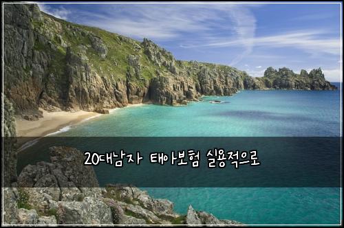 20대남자 태아보험 실용적으로 