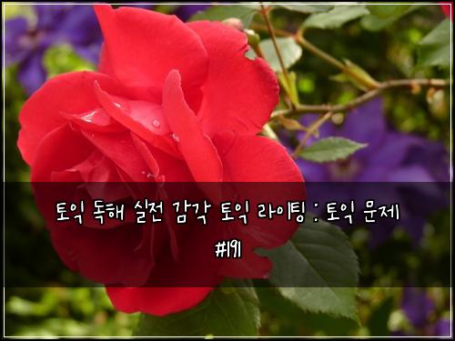 토익 독해 실전 감각 토익 라이팅 : 토익 문제 #191