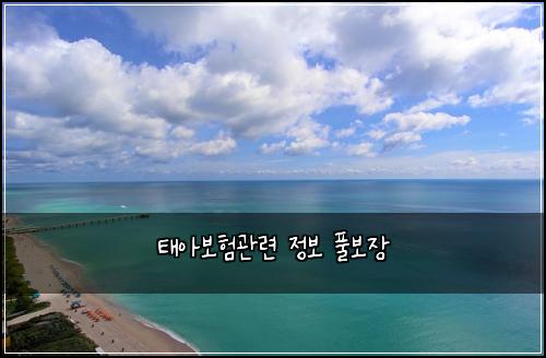 태아보험관련 정보 풀보장