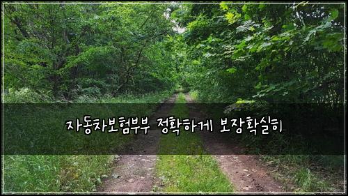 자동차보험부부 정확하게 보장확실히