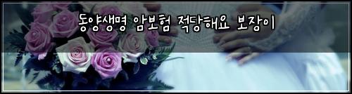 동양생명 암보험 적당해요  보장이