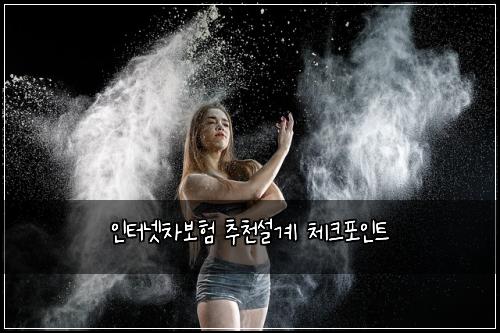 ์ธํฐ๋ท์ฐจ๋ณดํ ์ถ์ฒ์ค๊ณ ์ฒดํฌํฌ์ธํธ