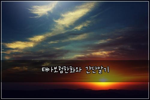 태아보험한화와 간단알기
