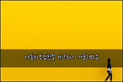 ์๋์ฐจ๋ณดํ์น์ ์ฒดํฌํ๊ธฐ ์๋๋ฌ๋ด์