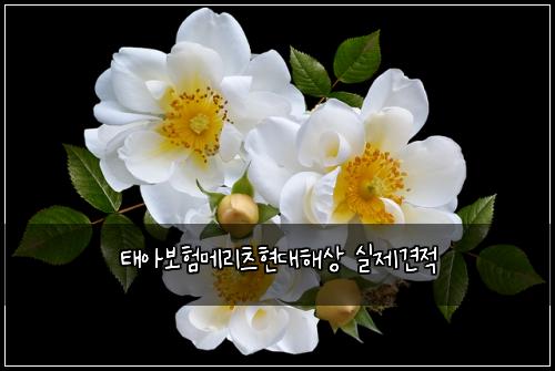 태아보험메리츠현대해상 실제견적