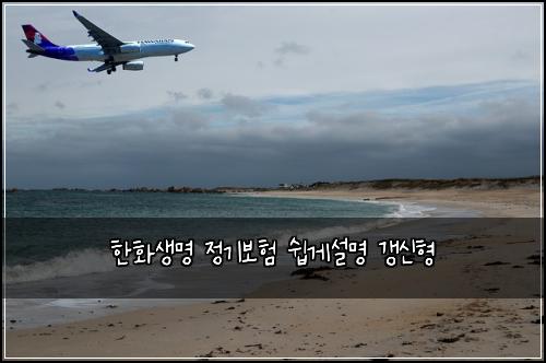 한화생명 정기보험 쉽게설명  갱신형