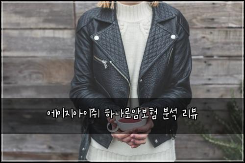 에이지아이쥐 하나로암보험 분석 리뷰