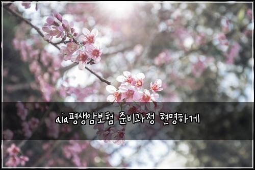 aia평생암보험 준비과정  현명하게