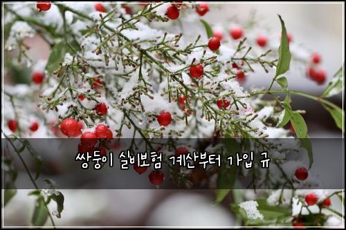 ์๋ฅ์ด ์ค๋น๋ณดํ ๊ณ์ฐ๋ถํฐ ๊ฐ์
๊ท