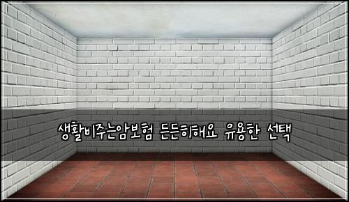 생활비주는암보험 든든히해요  유용한 선택