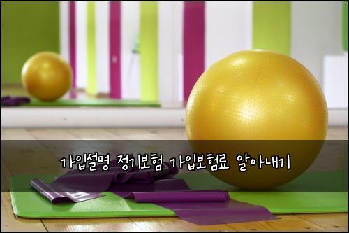 가입설명 정기보험 가입보험료  알아내기