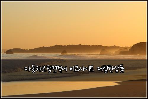 자동차보험견적서 비교사이트 저렴한상품