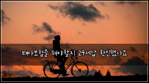 태아보험을 해야할지 24세납 확인했나요