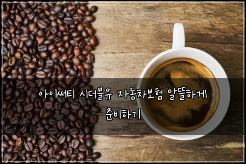 아이써티 시더블유 자동차보험 알뜰하게 준비하기