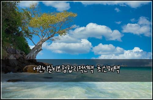 ์ด๋ฆฐ์ด์ค๋น๋ณดํํฉ๋ฆฌ์ ์ ํ ์ต์ ํํ