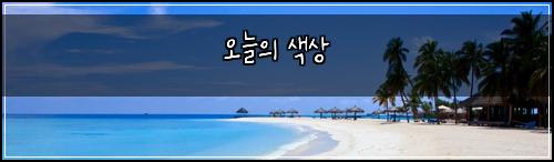 오늘의 색상