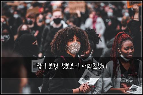정기 보험 정보보기  메리츠정기