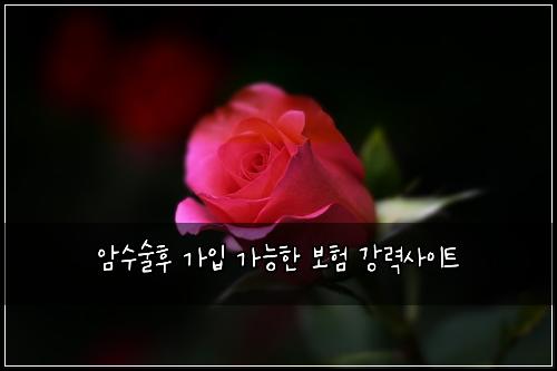 암수술후 가입 가능한 보험 강력사이트 