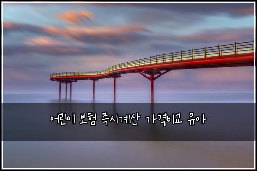 어린이 보험 즉시계산  가격비교 유아