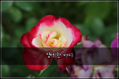 ์์ด ํ ๋ง๋