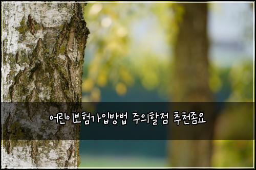 어린이보험가입방법 주의할점 추천좀요