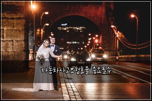 자동차사고보험효율 중요필수