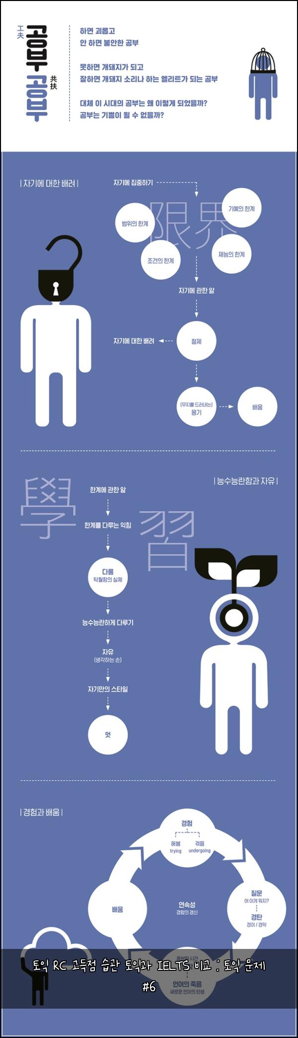 토익 RC 고득점 습관 토익과 IELTS 비교 : 토익 문제 #6