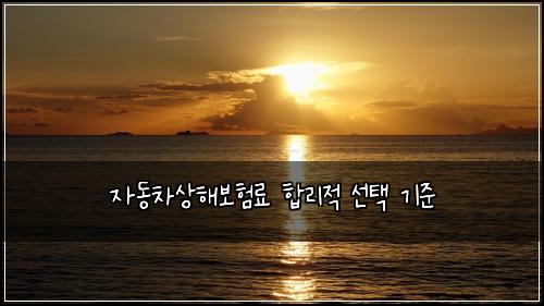 자동차상해보험료 합리적 선택 기준