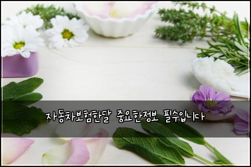 ์๋์ฐจ๋ณดํํ๋ฌ ์ค์ํ์ ๋ณด ํ์์
๋๋ค