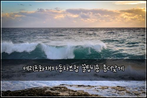 ๋ฉ๋ฆฌ์ธ ํ์ฌ์๋์ฐจ๋ณดํ ๊ฟํ์ด์ฉ ์ข๋๋ฎ๊ฒ