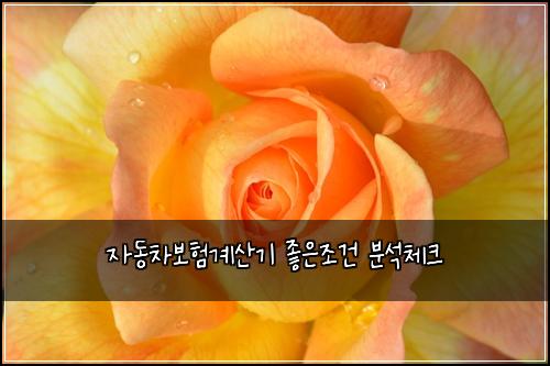 ์๋์ฐจ๋ณดํ๊ณ์ฐ๊ธฐ ์ข์์กฐ๊ฑด ๋ถ์์ฒดํฌ