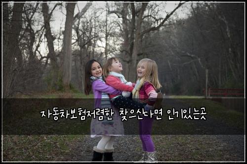 자동차보험저렴한 찾으신다면 인기있는곳