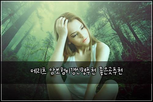 메리츠 암보험비갱신형추천 좋은곳추천