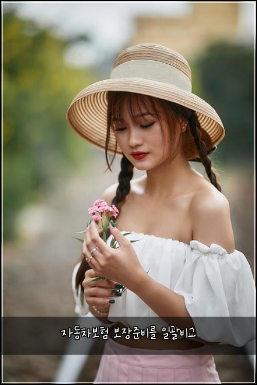 자동차보험 보장준비를  일괄비교