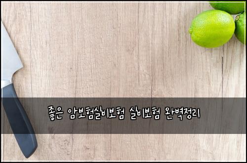 좋은 암보험실비보험 실비보험 완벽정리