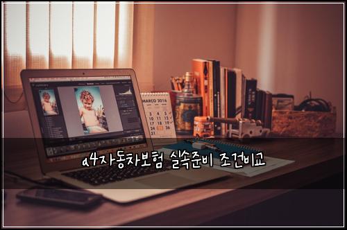 a4자동차보험 실속준비  조건비교