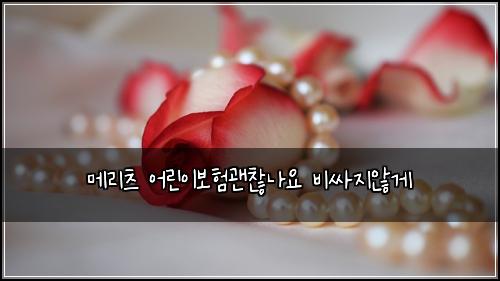 ๋ฉ๋ฆฌ์ธ ์ด๋ฆฐ์ด๋ณดํ๊ด์ฐฎ๋์ ๋น์ธ์ง์๊ฒ