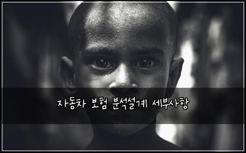 ์๋์ฐจ ๋ณดํ ๋ถ์์ค๊ณ ์ธ๋ถ์ฌํญ
