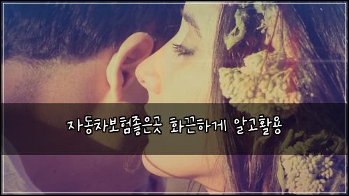 ์๋์ฐจ๋ณดํ์ข์๊ณณ ํ๋ํ๊ฒ ์๊ณ ํ์ฉ