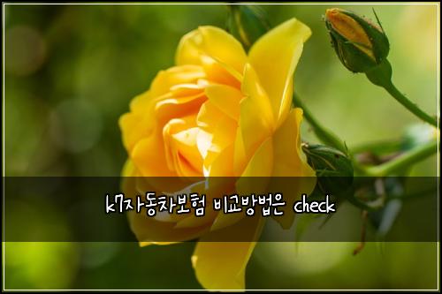 k7자동차보험 비교방법은  check