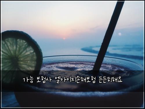 가능 보험사 엘아이지손해보험 든든히해요