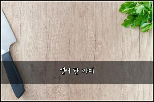 영어 한 마디