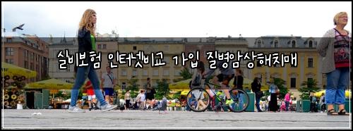 실비보험 인터넷비교  가입 질병암상해치매