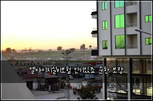 엘아이지실비보험 인기있죠 순한 보장