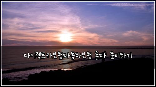 다이렉트카보험자동차보험 혼자 준비하기