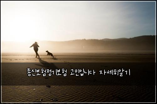 ์ข
์ ๋ณดํ์ ๊ธฐ๋ณดํ ๊ณ ๋ฏผ์
๋๋ค ์์ธํ์๊ธฐ