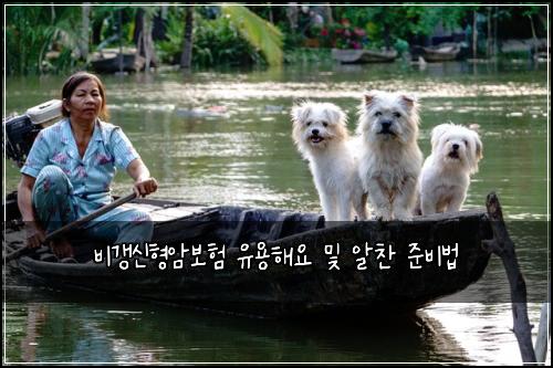 ๋น๊ฐฑ์ ํ์๋ณดํ ์ ์ฉํด์ ๋ฐ ์์ฐฌ ์ค๋น๋ฒ