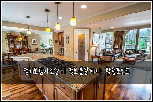 정기보험바로알기 정보를살피자 활용포인트