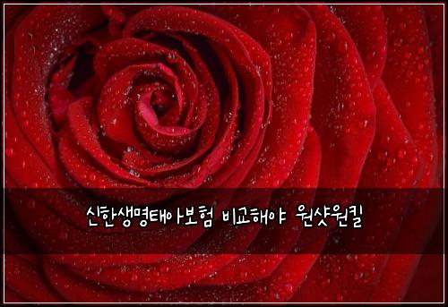신한생명태아보험 비교해야  원샷원킬